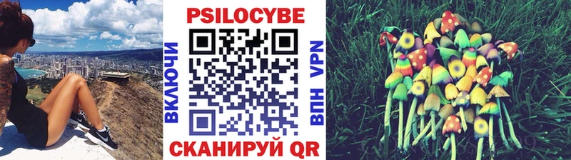 Псилоцибиновые грибы Psilocybe Мглин